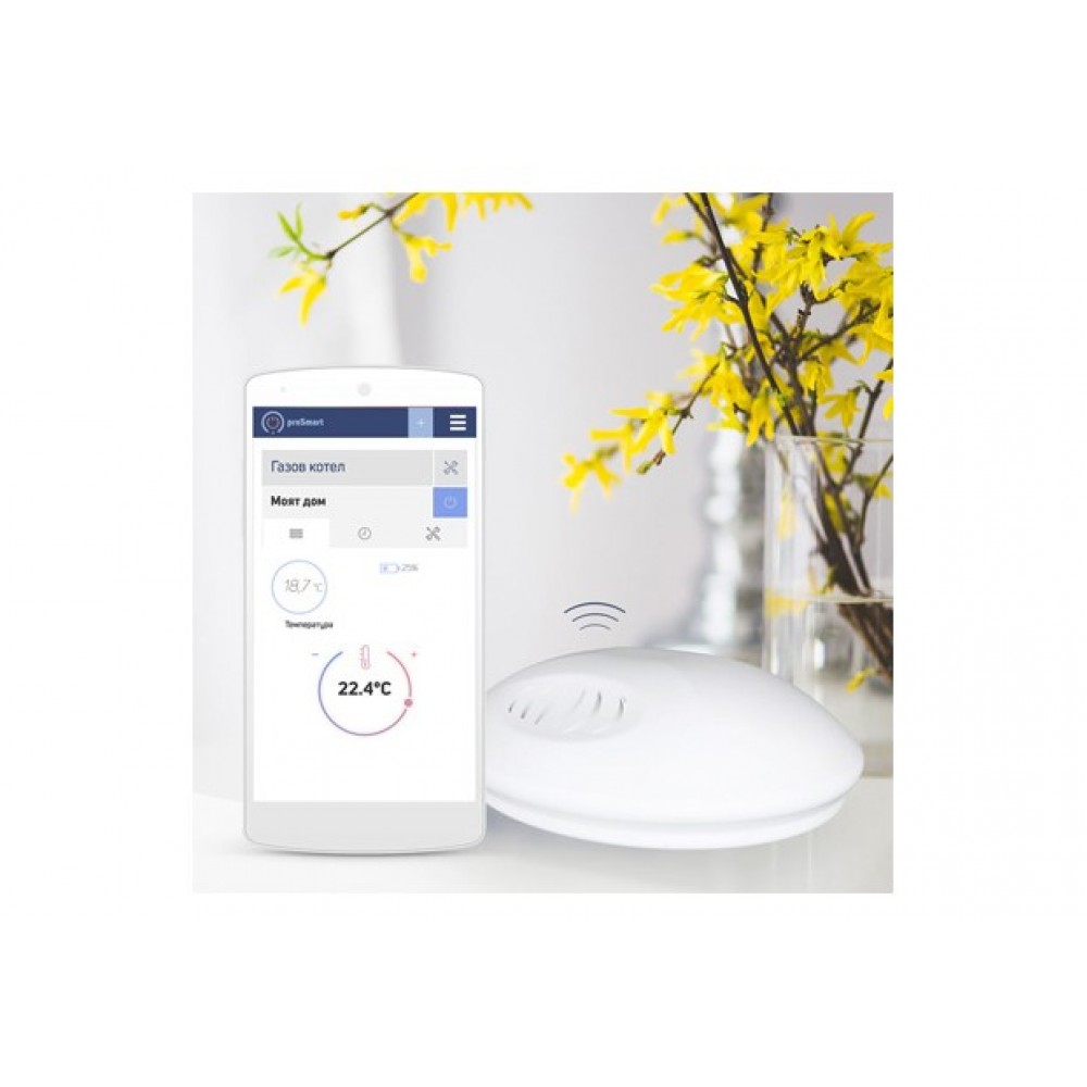 Termostato wireless intelligente Bboil |  |  |