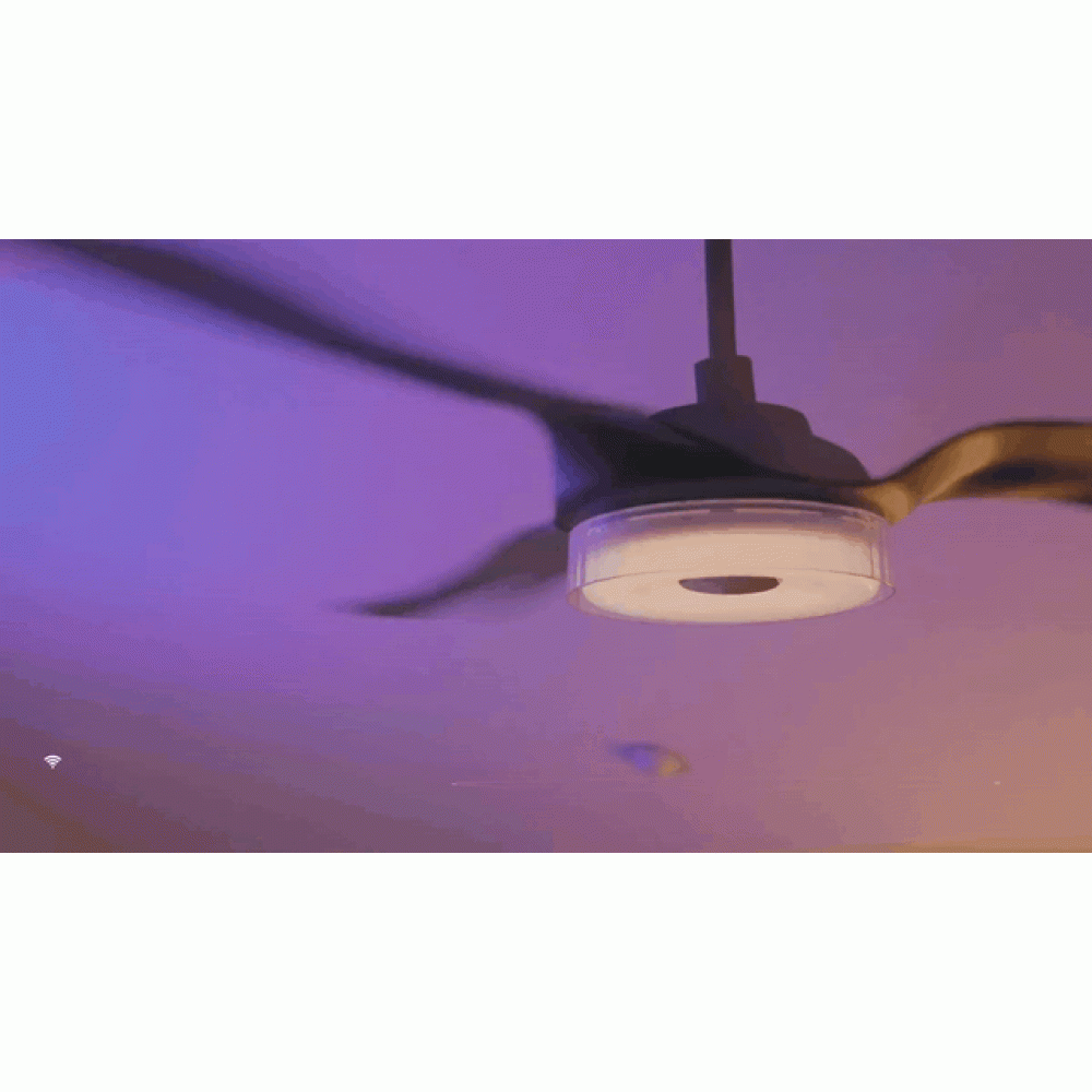 Ventilatore da soffitto con Wi-Fi e telecomando Telemax CES565SL, 142cm | Ventilatori da soffitto | Ventilatori |