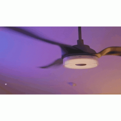 Ventilatore da soffitto con Wi-Fi e telecomando Telemax CES565SL, 142cm - Telemax
